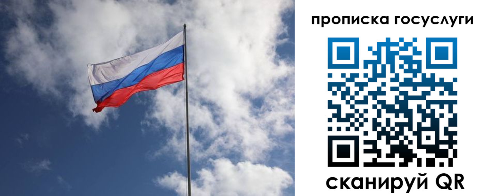 прописка поиск в Калуге